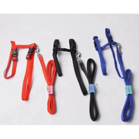 Kedi Boyun ve Göğüs Tasması - Resim 4