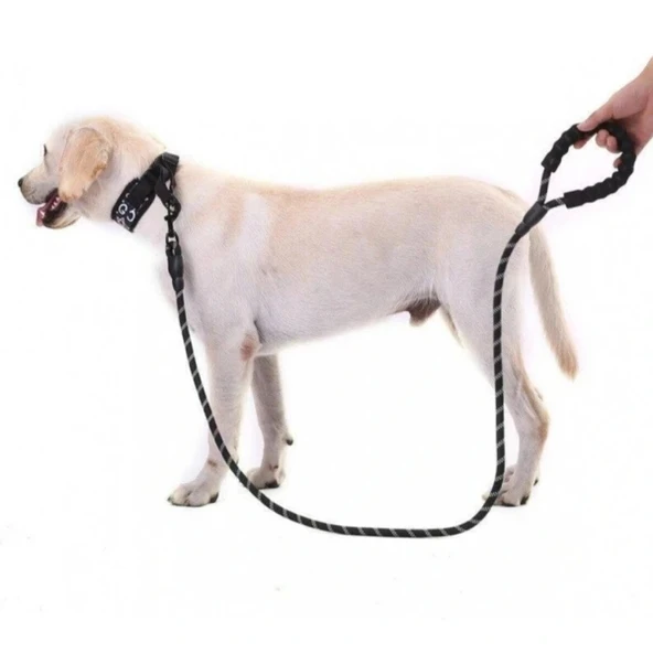 Evcil Hayvan Reflektörlü Fitil Gezdirme Tasması 12 mm x 120 cm - Resim 2