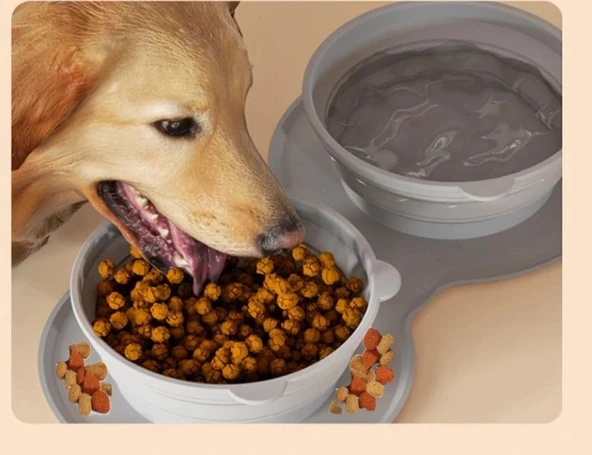 Mikopet Katlanabilir İkili Mama ve Su Kabı - Resim 4