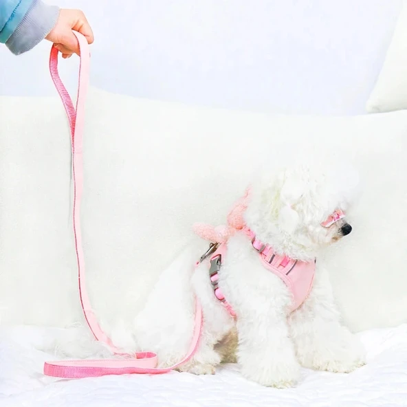 Evcil Hayvan Peluş Ayıcıklı Göğüs Gezdirme Tasması Set - Resim 4