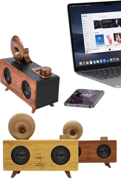 Gramafon Nostaljik Radyo Yüksek Ses Kalitesi USB TF Kart Aux - Resim 3