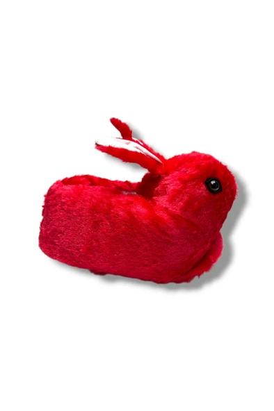 Akınal 571-26 Termal Tavşan Figürlü Panduf 36-40 - Resim 2