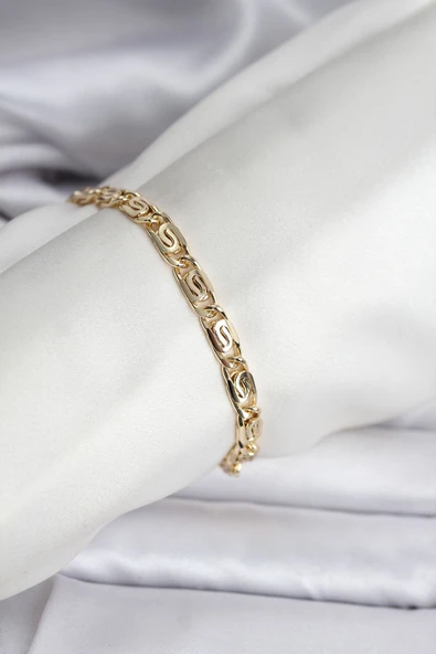 14K Gold Renk Kaplama Zincir Model CM Kadın Bileklik ürün görseli 1