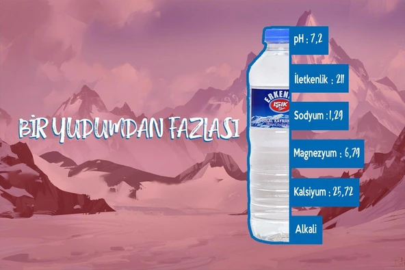 ERKENEK IŞIK SU DOĞAL KAYNAK SUYU 12 Lİ PH 7.2 - Resim 2