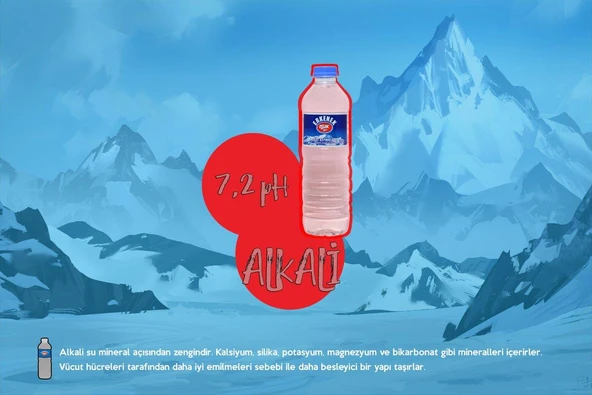 ERKENEK IŞIK SU DOĞAL KAYNAK SUYU 24 LÜ (1 KOLİ) PH 7.2 - Resim 3