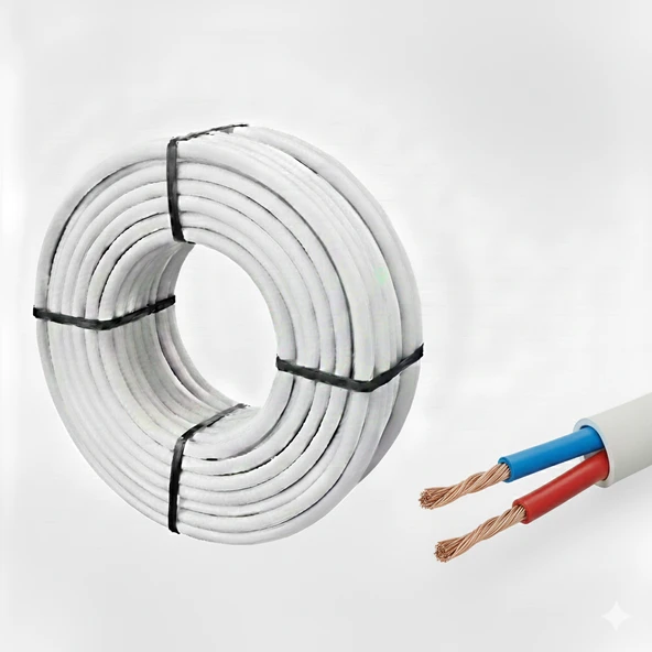 2x2.5 TAM KESİT CCA TTR UZATMA KABLOSU 100 METRE BEYAZ ürün görseli 1