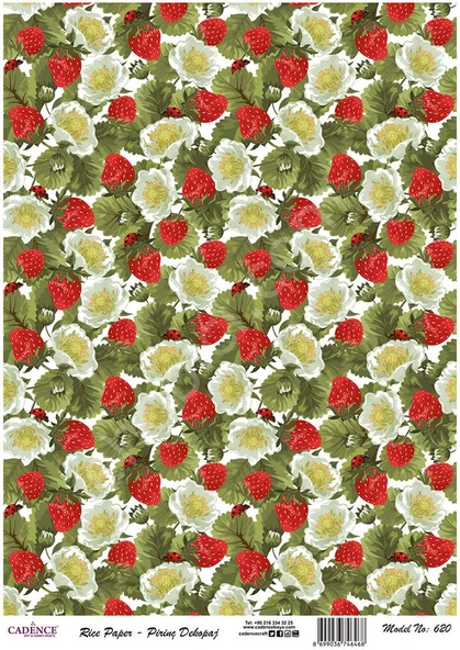 Cadence Pirinç Dekopaj Kağıdı - Model 620 ürün görseli 1