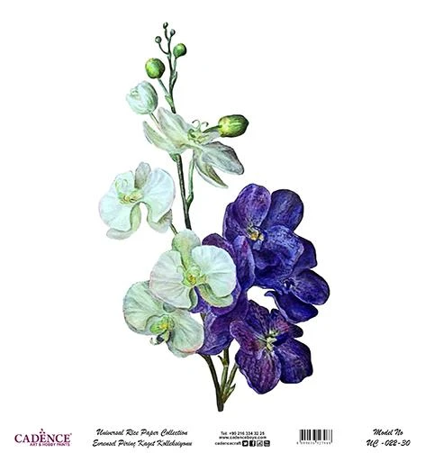 Cadence Evrensel Pirinç Dekopaj Kağıdı - UC-022 ürün görseli 1