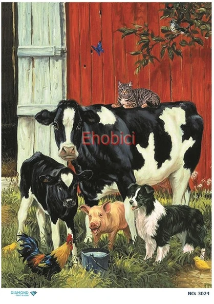 Diamond Pirinç Dekopaj Kağıdı - 3024 ürün görseli 1