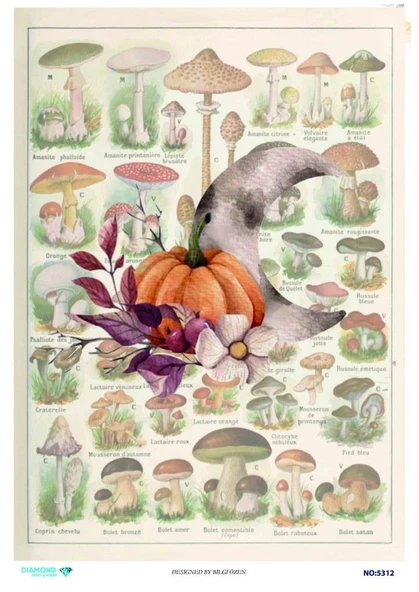 Diamond Pirinç Dekopaj Kağıdı - 5312 ürün görseli 1