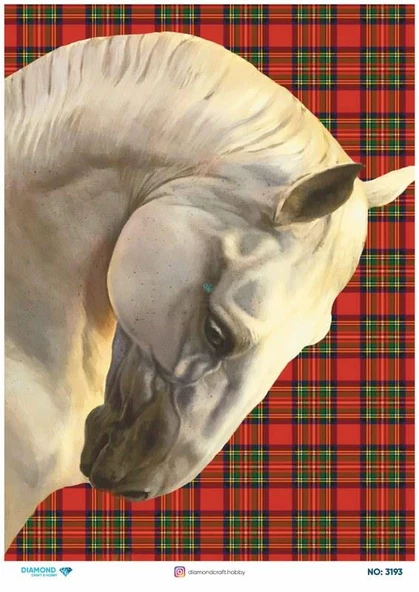 Diamond Pirinç Dekopaj Kağıdı - 3193 ürün görseli 1