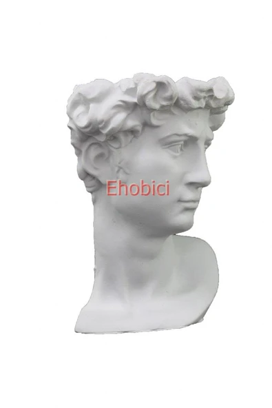 Polyester David Saksı D69 24x18cm ürün görseli 1