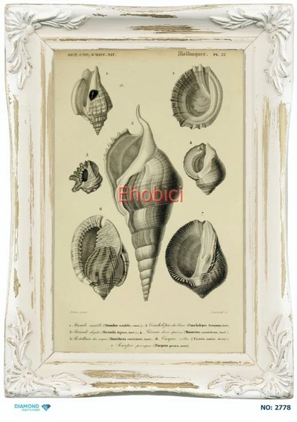 Diamond Pirinç Dekopaj Kağıdı - 2778 ürün görseli 1