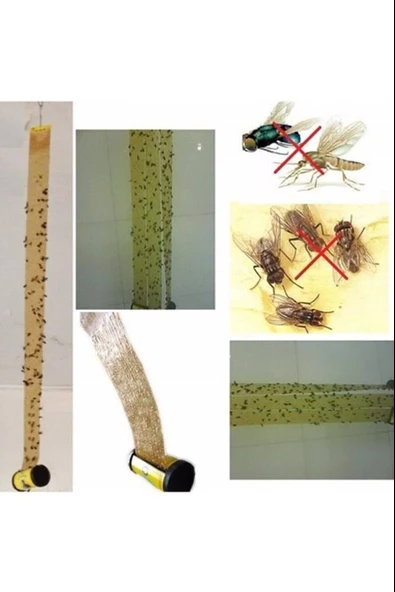 Tibtrap Yapışkan Sinek Kapanı 4 Lü - Resim 4