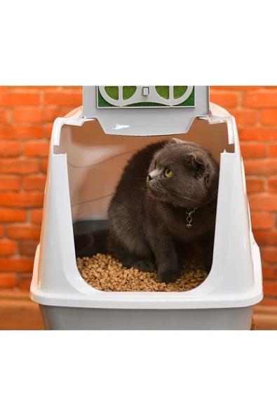 happycatlitter 20 Litre Topaklanan Çam Peleti Kedi Kumu ( 2 Adet ) - Resim 2