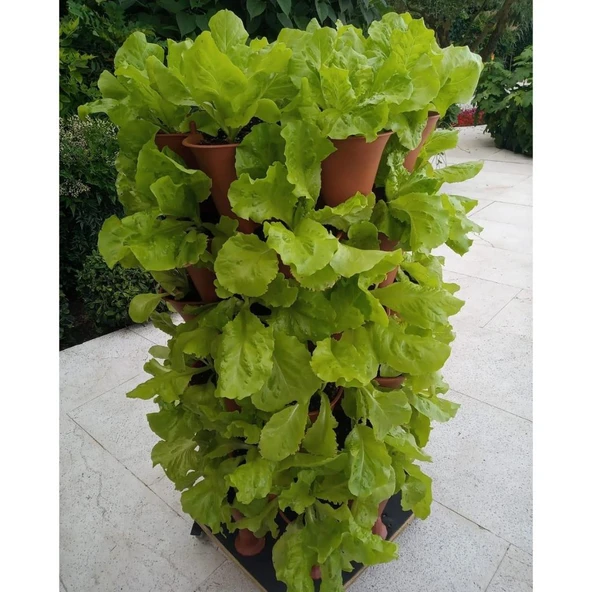 Bahçe Kulesi Yediveren - Evde Tarım Katlı Saksı - Resim 4