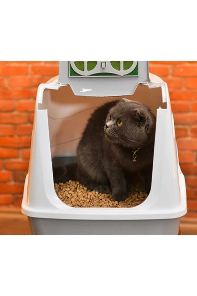 happycatlitter 10 Litre Topaklanan Çam Peleti Kedi Kumu ( 1 Adet ) - Resim 4