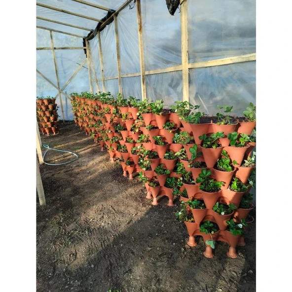 Bahçe Kulesi Yediveren - Evde Tarım Katlı Saksı - Resim 5