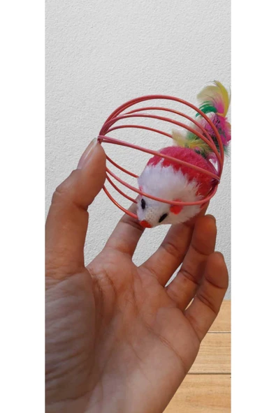 GenelTedarik 4lü Ekonomik Kedi Seti - Resim 3