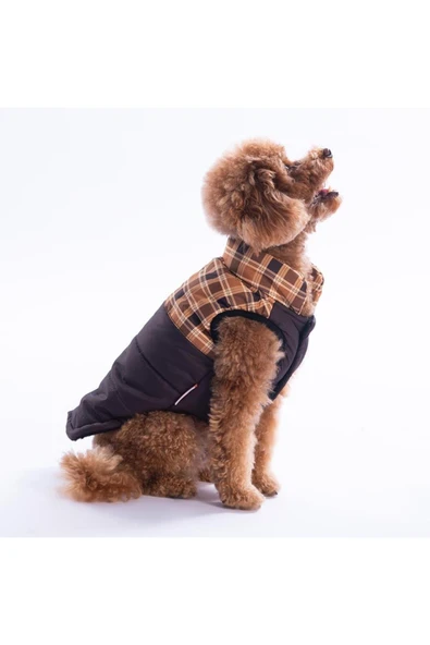Pawstar Kahverengi Elgin Paws Ekose Desen Yelek Köpek Yeleği Köpek Kıyafeti Köpek Yağmurluk - Resim 4