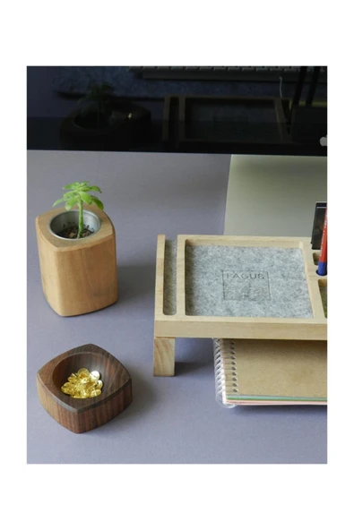 Fagus Wood Mini Sharpy Masa Düzenleyici (Gri) - Resim 2