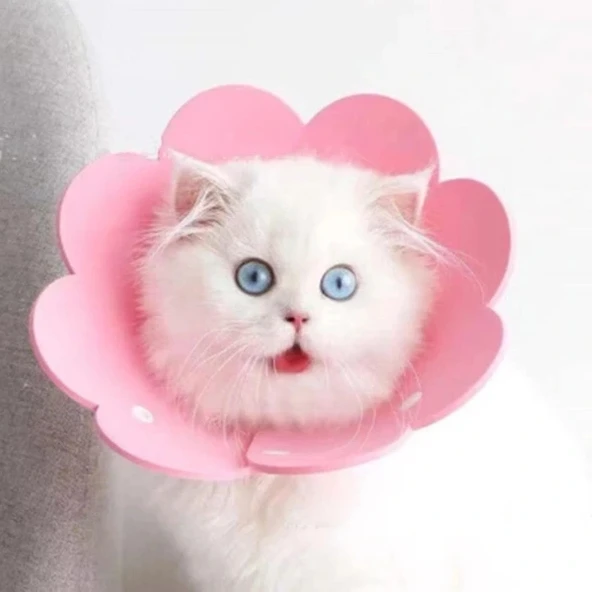 Evcil Hayvan Xl Boy Keçe Elizabeth Yakalığı - Resim 4