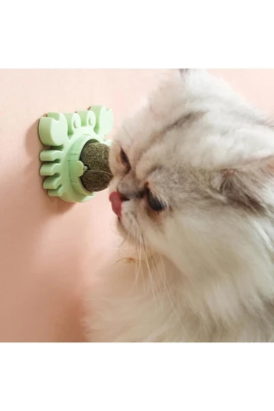 Yengeç Kedi Otu Oyun Topu ürün görseli 1
