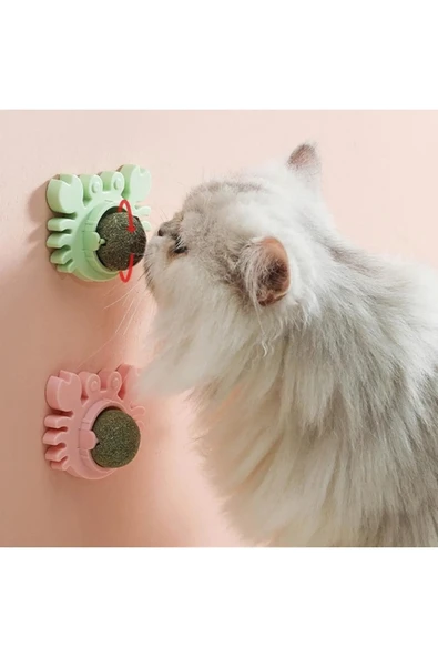 Yengeç Kedi Otu Oyun Topu - Resim 2