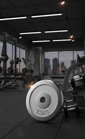 50 KG Dambıl Crom Dambıl 5 KG Ağırlık Plaka ürün görseli 1