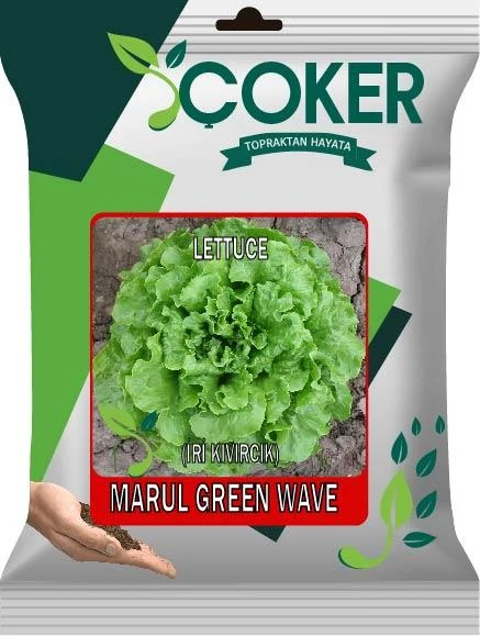 Çoker Marul (İri Kıvırcık) 10 gr ürün görseli 1