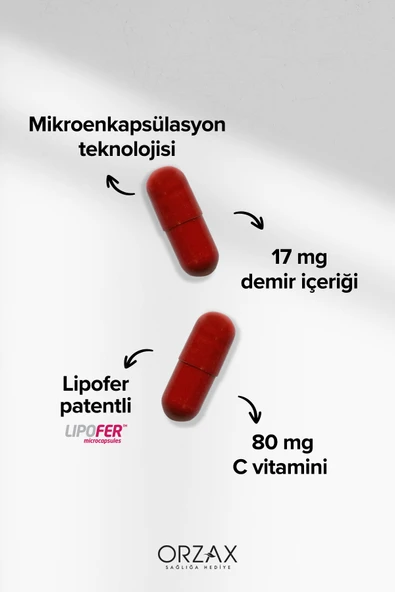 Microfer 60 Kapsül - Resim 3