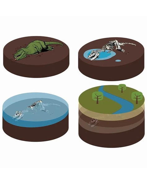 Clementoni Bilim ve Oyun Jurassic World Kazı Seti 19434 - Resim 6