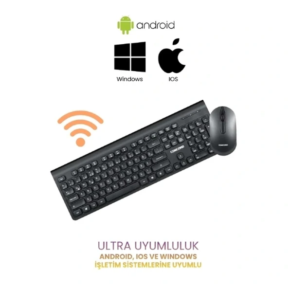 Multimedya Q Klye Ve Mouse Seti - Resim 2