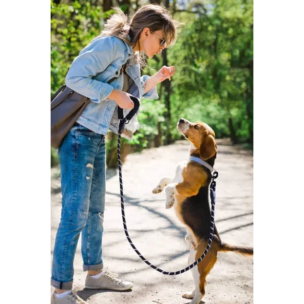 Evcil Hayvan Reflektörlü Fitil Gezdirme Tasması 12 mm x 120 cm - Resim 5