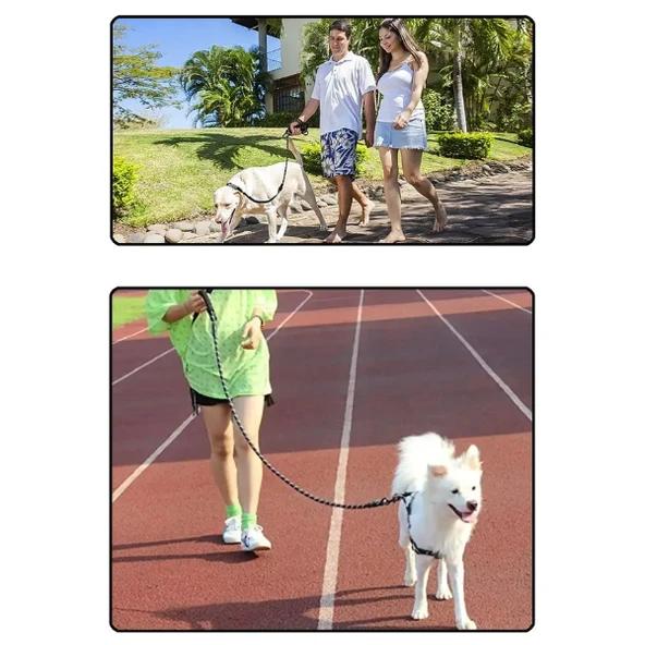 Evcil Hayvan Reflektörlü Fitil Gezdirme Tasması 10 mm x 120 cm - Resim 3