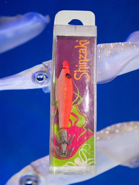 Kalamar Zokası 5 Cm 4 Gr-1 ürün görseli 1