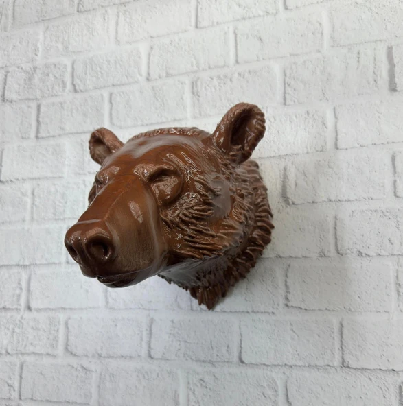 KAHVERENGİ AYI - Resim 3