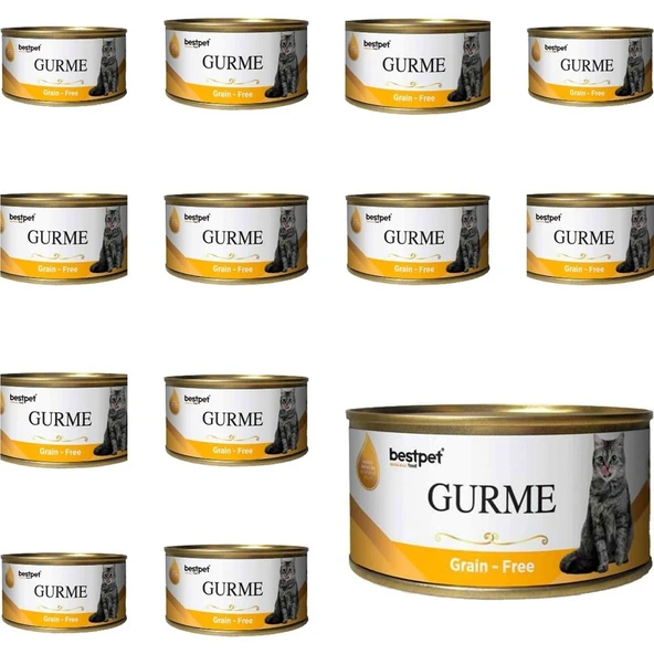 Bestpet Gurme Kedi Konservesi Tavuklu 100 gr - 12'li ürün görseli 1