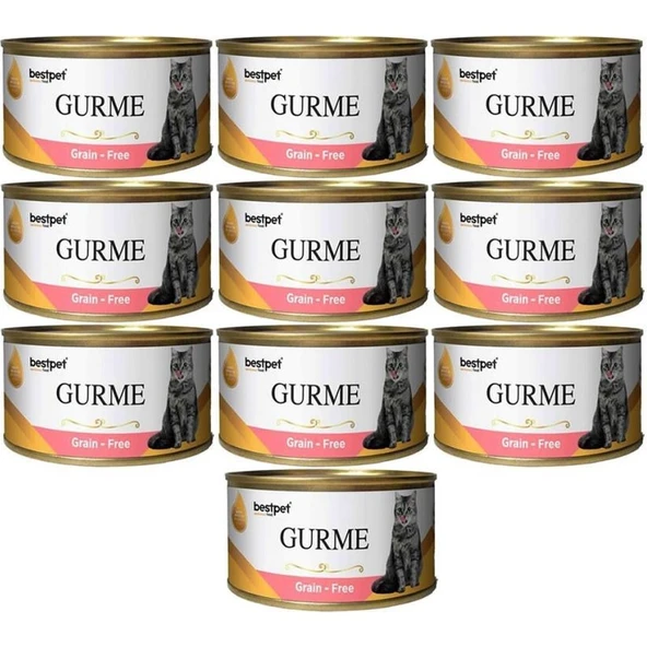 Bestpet Gurme Kedi Konservesi Somonlu Sterilised 100 gr x 10 ürün görseli 1