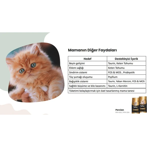 Reflex Plus Persian Yavru Kedi Maması 1.5 kg - Resim 4