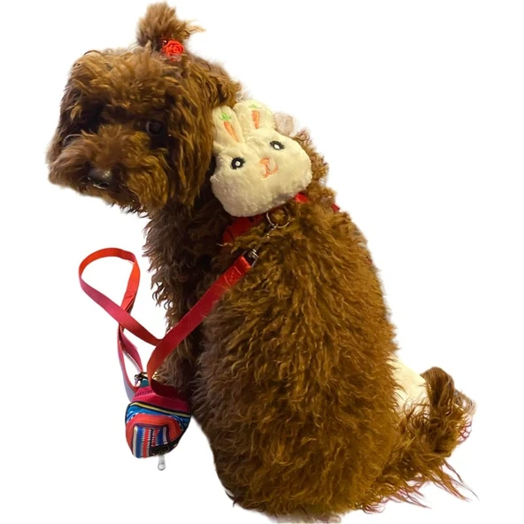 Catdoglife Bunny Kedi ve Köpek Gezdirme ve Göğüs Tasma Seti (Göğüs: 30 cm - 50 Cm) - Resim 5