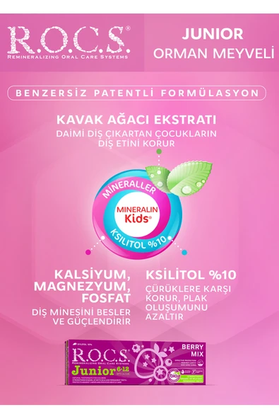 Rocs Junior 6-12 Orman Meyveli Özlü Diş Macunu 74 gr 2 Adet - Resim 2
