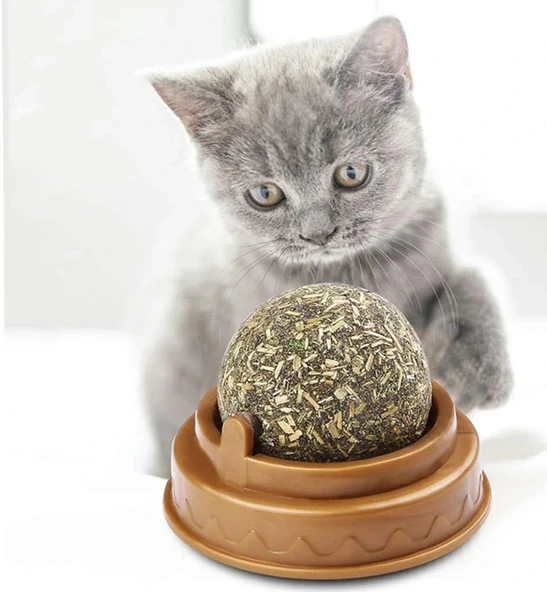 Kedi Nanesi Oyun Topu - Resim 4