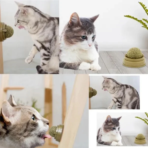 Kedi Nanesi Oyun Topu - Resim 2