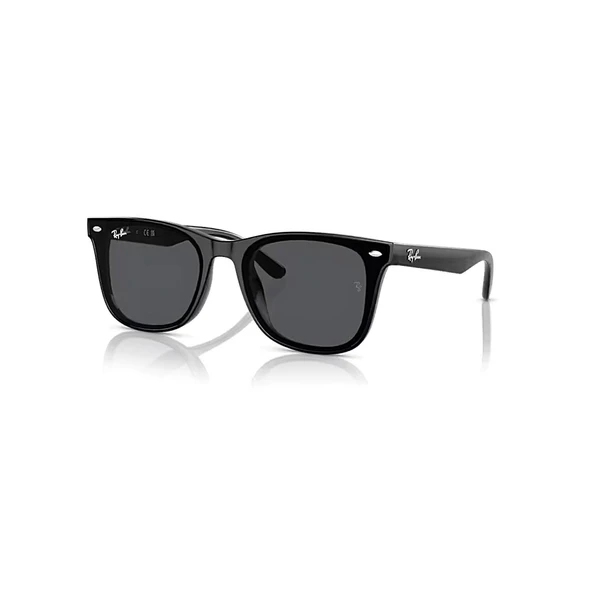Ray-ban RB4420 601/87 65 Unisex Güneş Gözlüğü - Resim 4