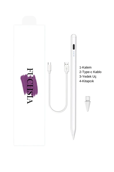 İPad Mini 7.Nesil Uyumlu Avuç İçi Reddetmeli Eğim Hassasiyetli Dokunmatik Yazı Kalemi - Resim 5