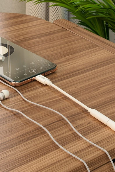 LS30 Aux to Type-C Dönüştürücü - Resim 4