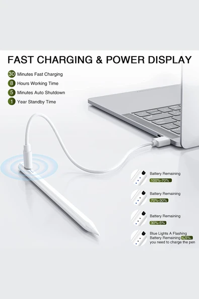 iPad 2018-2022 Stylus Kalem Eğim Hassasiyetli Avuç İçi Redli Apple Kalem - Resim 5