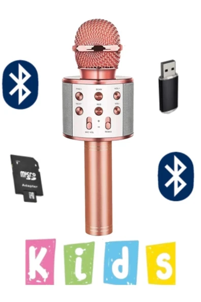 Karaoke Mikrofon Dahili Hoparlörlü Usb Flash Tf Kart Destekli Ses Değiştirme Efektli Çocuk Mikrofonu ürün görseli 1