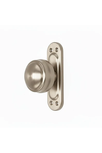 MANDAL AYNALI KAPI TOKMAĞI TOKMAK NİKEL SATEN RENK ürün görseli 1